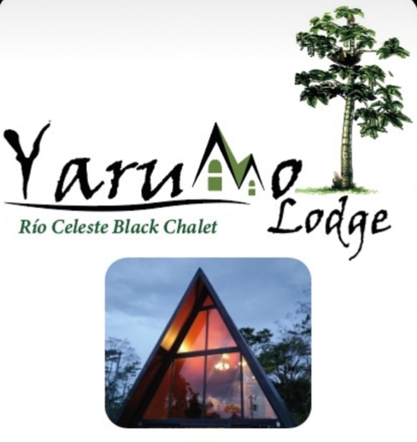 Yarumo Lodge, Rio Celeste Black Chalets 비자구아 외부 사진