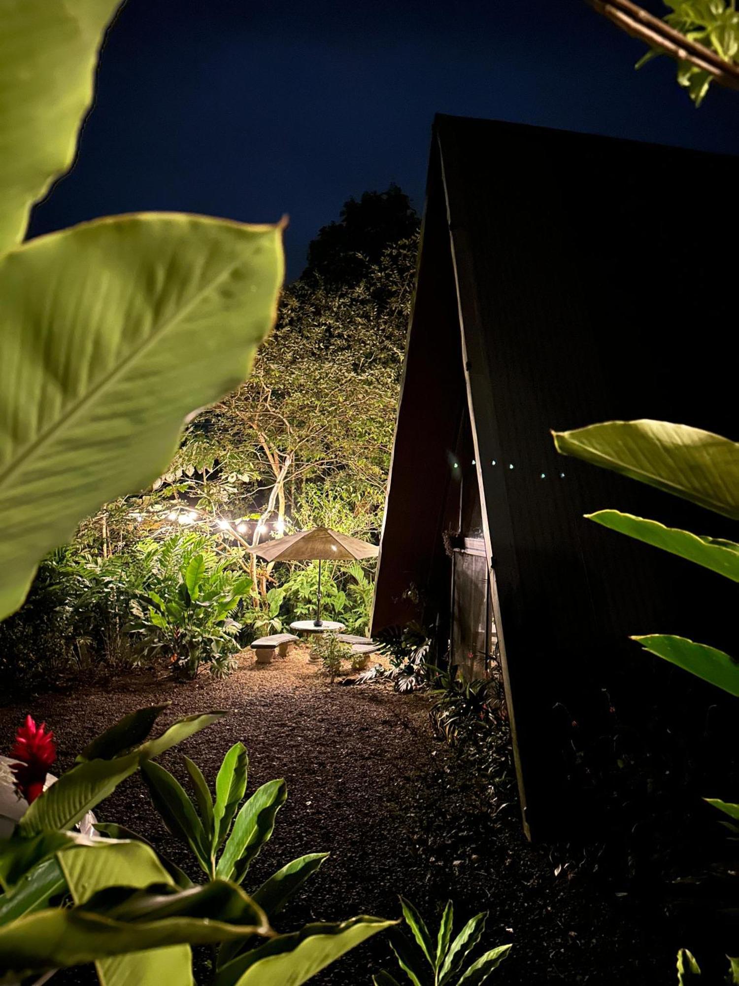 Yarumo Lodge, Rio Celeste Black Chalets 비자구아 외부 사진